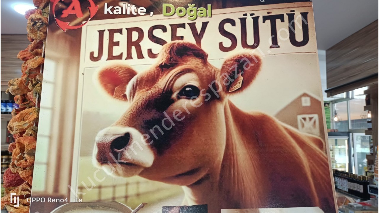 Jersey sütünden yapılmış doğal kaliteli yoğurt